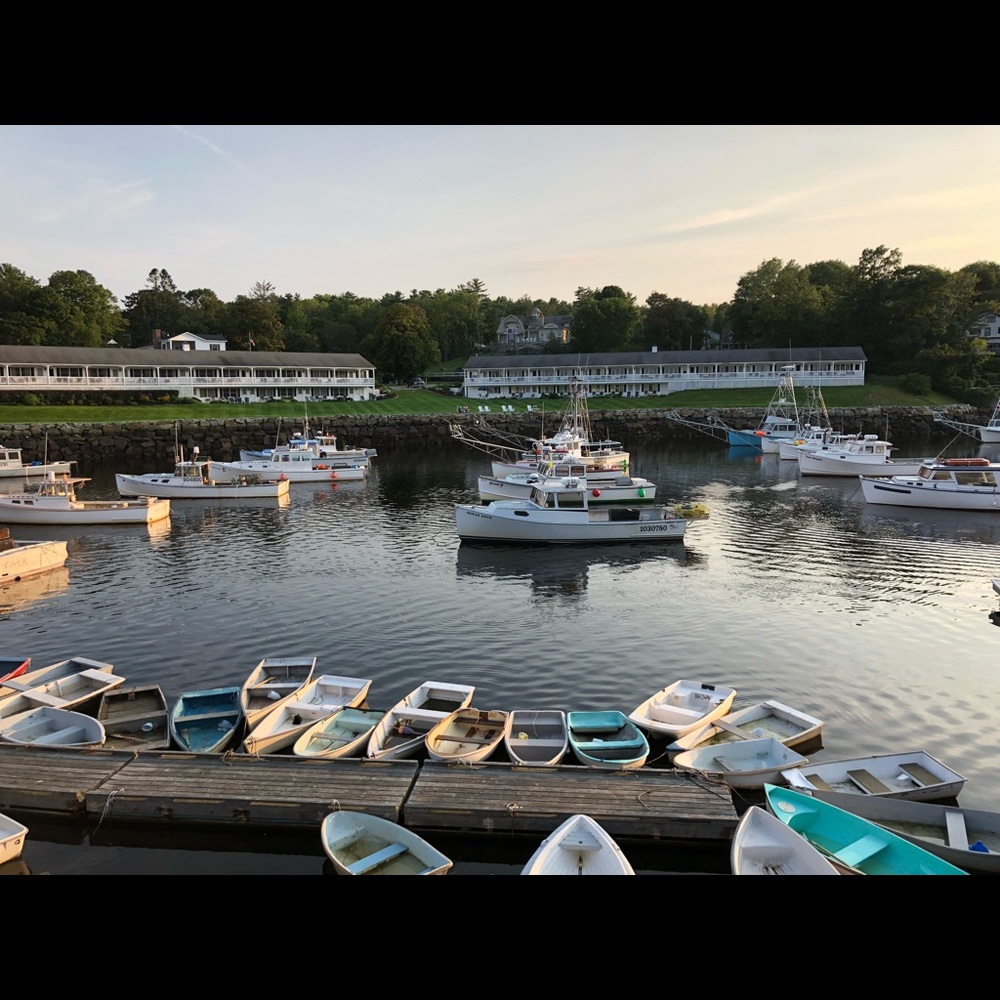 Meet your Posher, Mylee